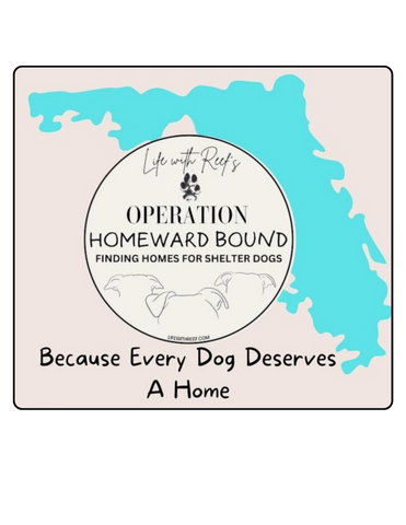 Operation Homeward Bound logo