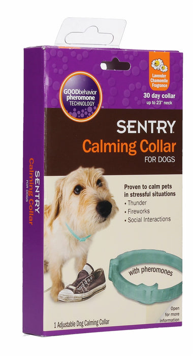 chewy sentry calming collar