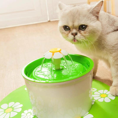 drincat flower fountain