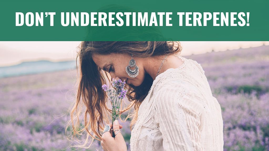 Don’t Underestimate Terpenes!