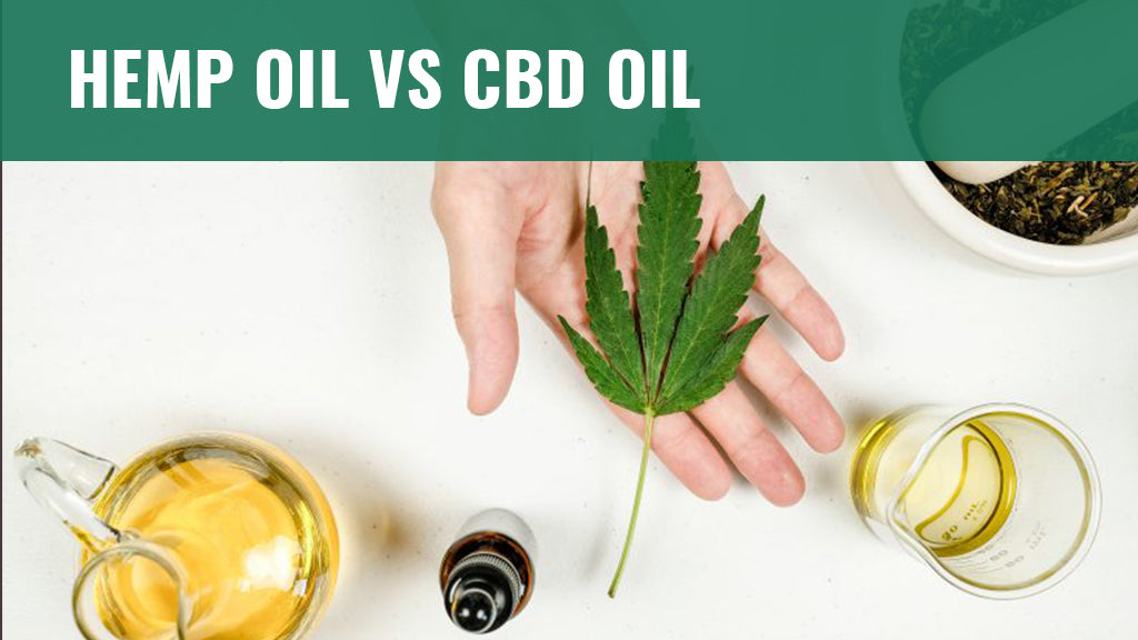 The Difference Between Essential Oils And CBD Oil – SabaiDee
