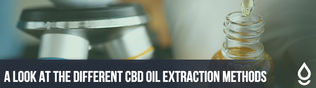 A Look at the Different CBD Oil Extraction Methods