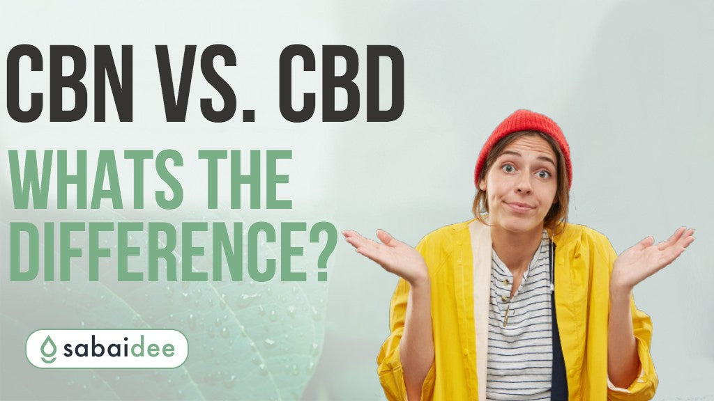 CBD vs CBD 