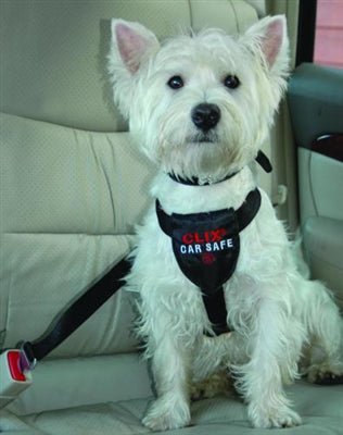 clix car safe dog seat belt