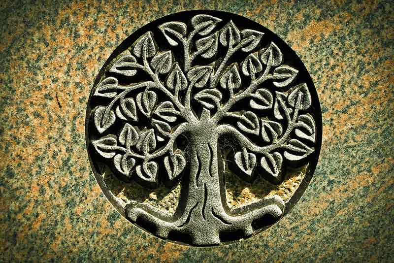 Arbre de vie : origine, symbole et signification – Jewelssimo