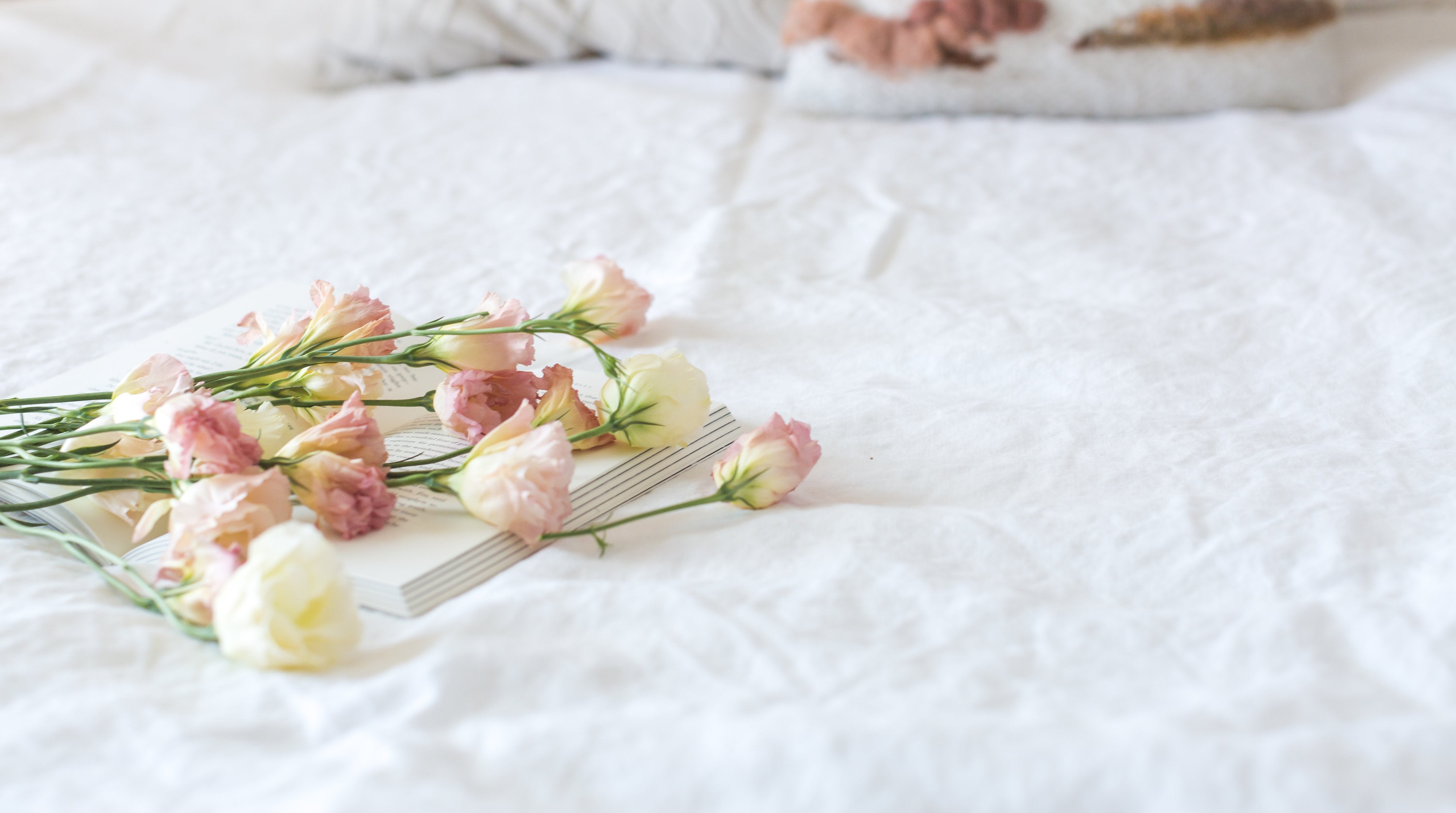 Roses on Bed Valentines Day Ideas