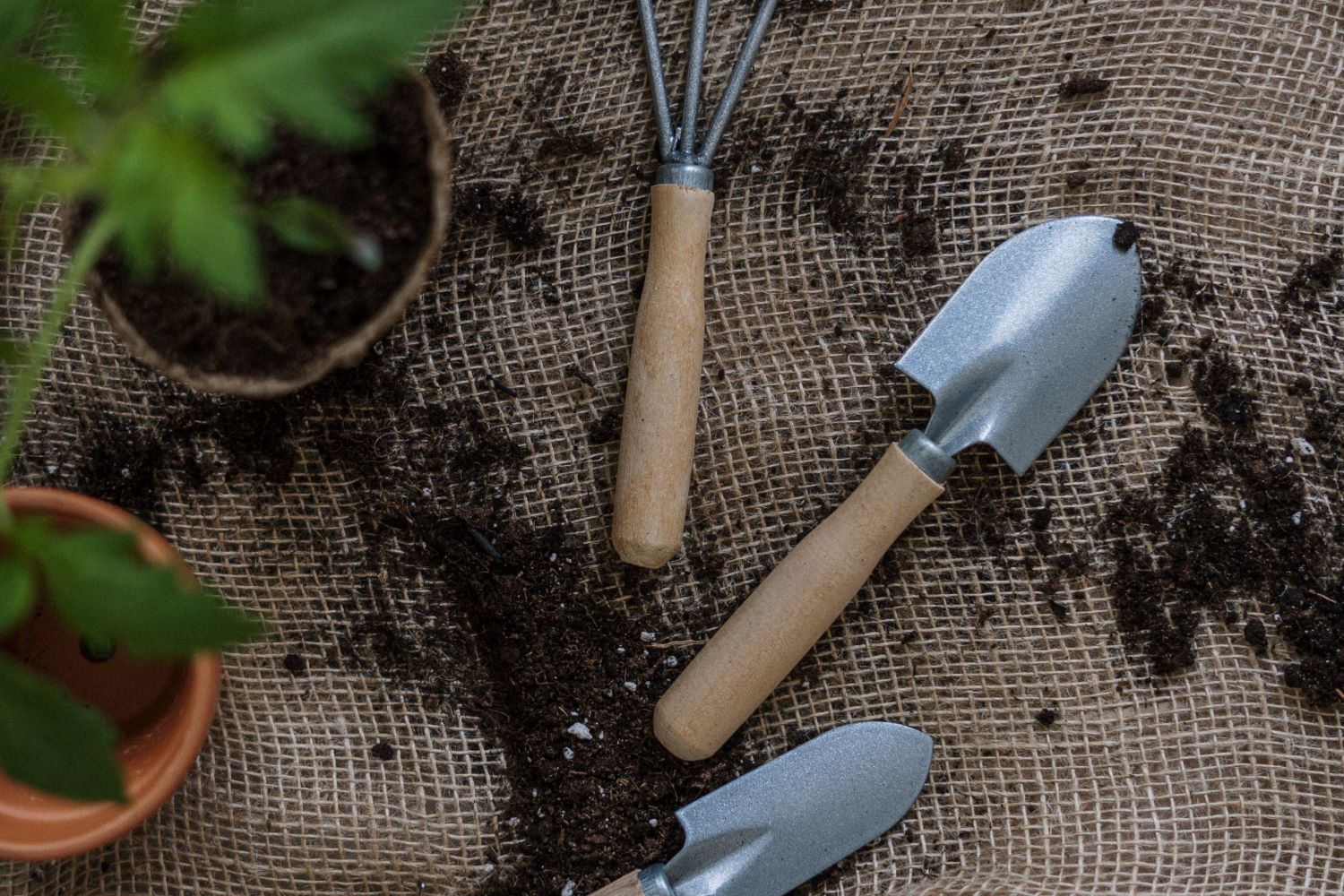 Top View Photo of Gardening Tools
