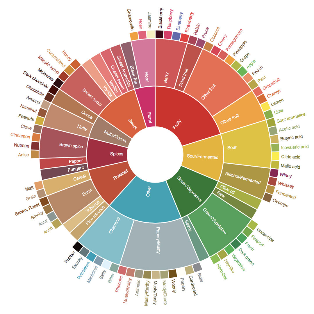 Flavour Wheel | Coffee Locale