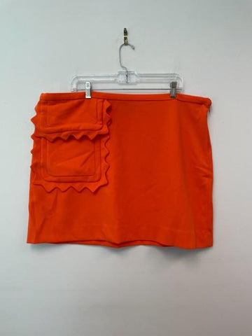 Victoria Beckham Mini Skirt 1X 