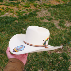 stetson cowboy hat with feather