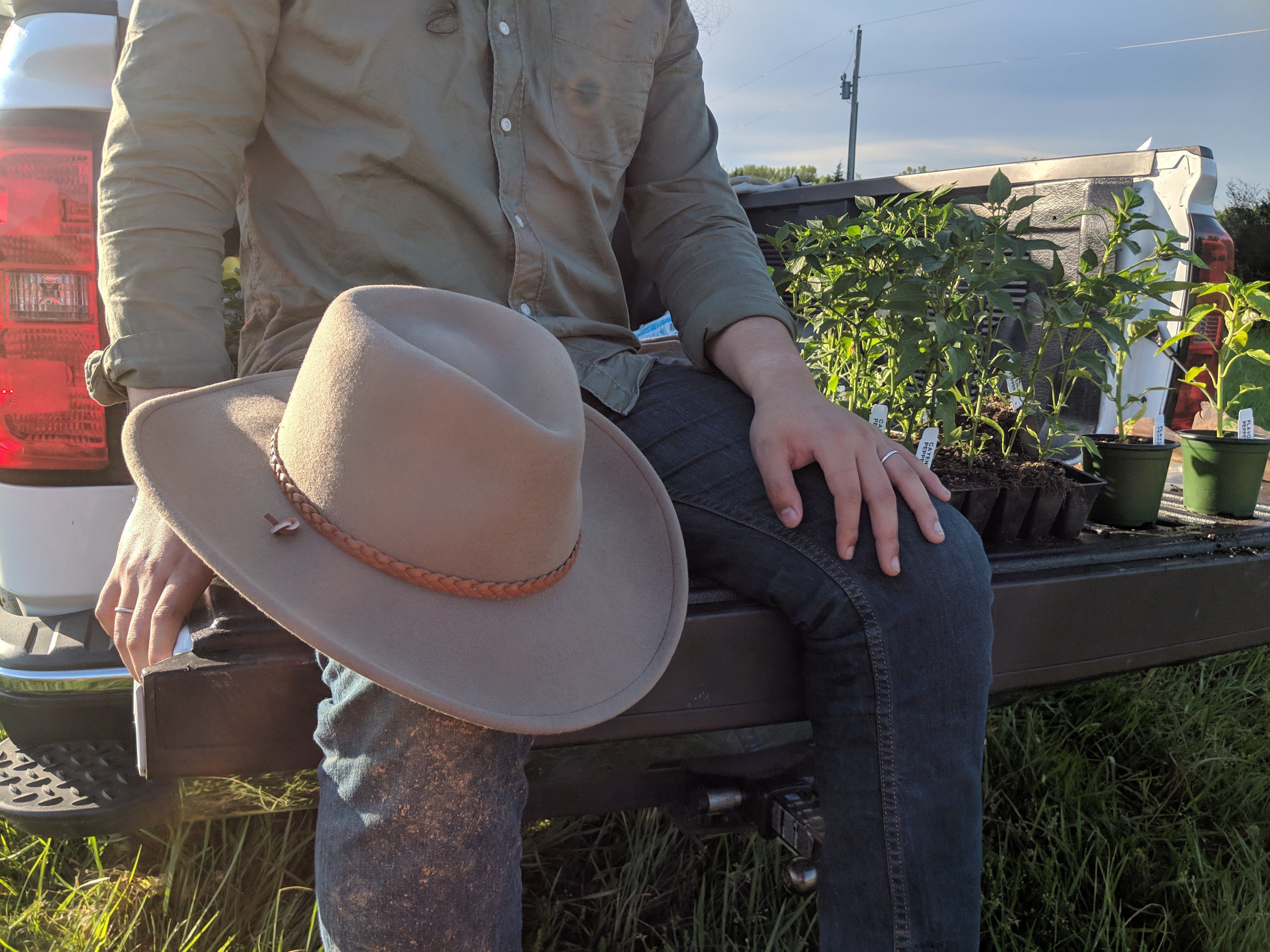 stetson open road sage