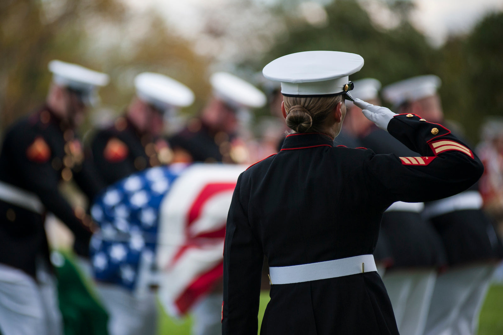 Shop LIBERTY FLAGS' military flags and memorial accessories