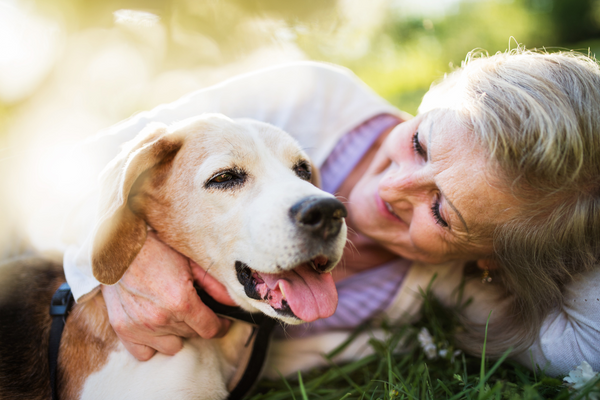 Aging with your dog