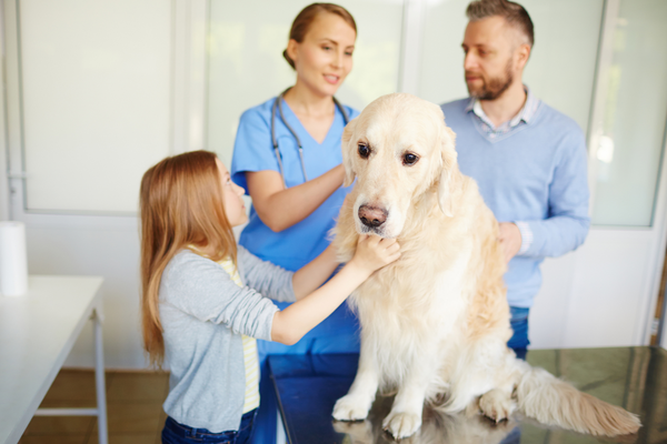 Dog in vet with a child and father