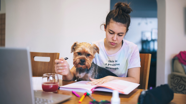 Creating Routine with your dog