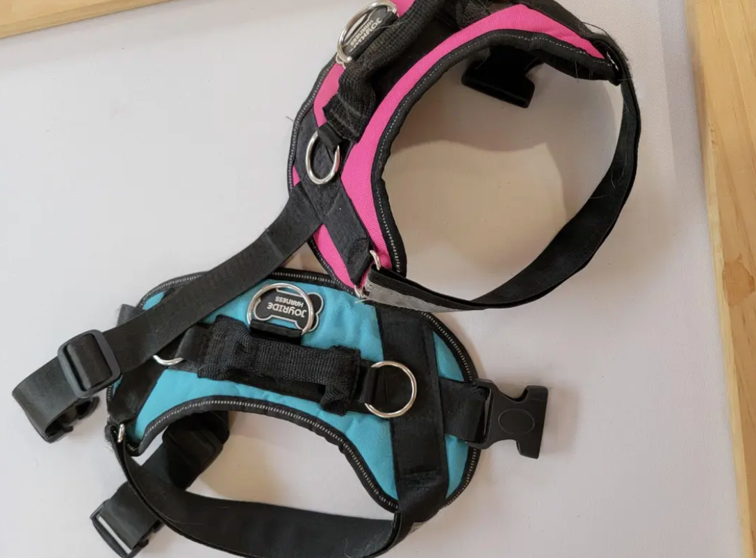  a pink and a teal Joyride harness on a table