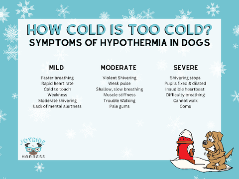 Symptoms of hypothermia in dogs