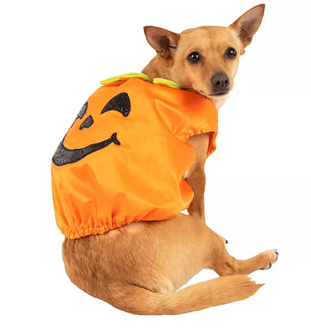 The Best Dog Halloween Costume Ideas For 2021 – Joyride Harness