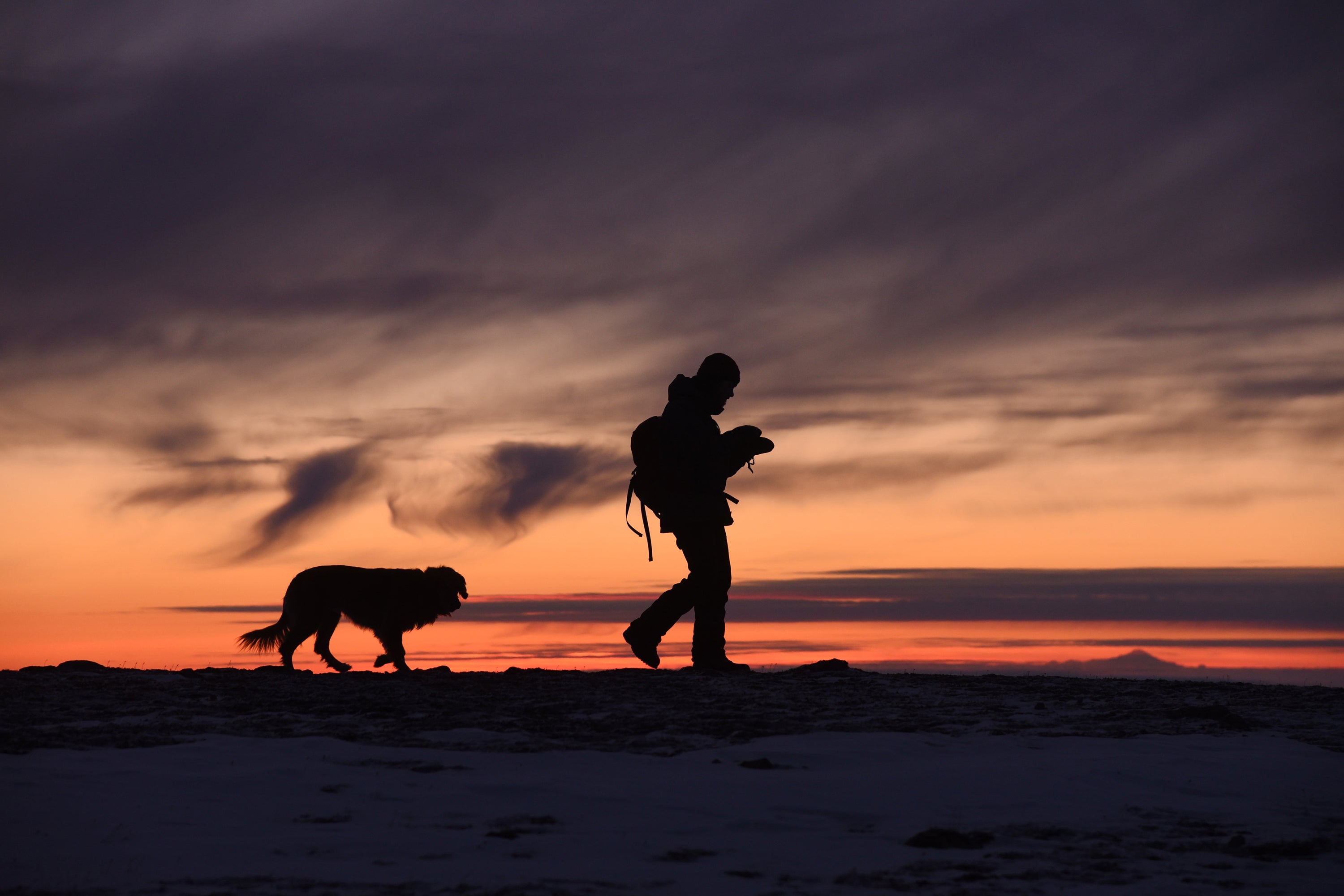 Dog and person hiking against the sunset
