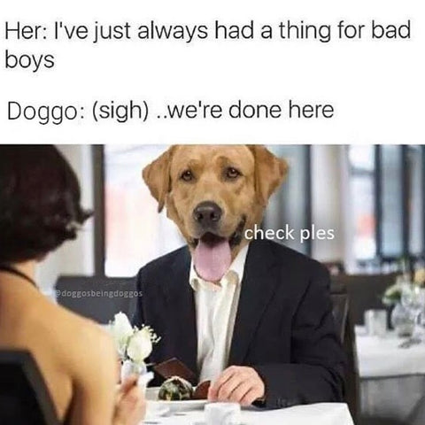 thanks dog meme