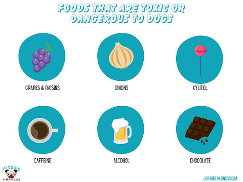 An infographic illustrating some foods that are toxic to dogs
