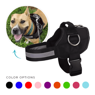 Dog Harness