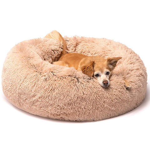 dog beds on sale