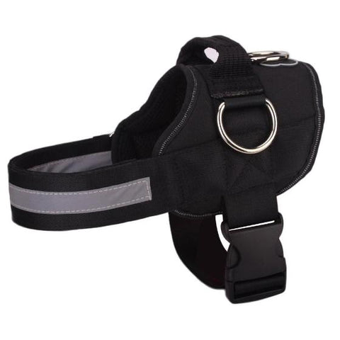 pug life dog harness