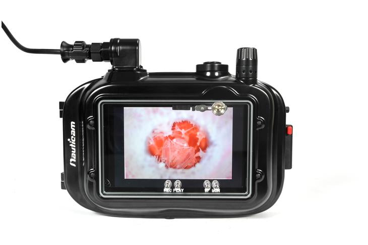 atomos ninja inferno 7