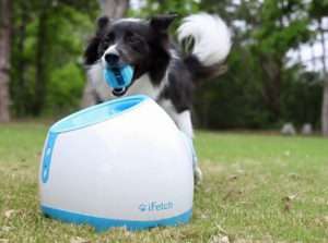 automatic-ball-thrower-for-dogs