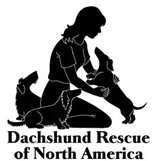 Visit Dachshund Rescue of North America (DRNA)