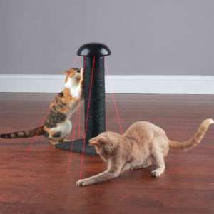A Laser Chasing Scratching Post