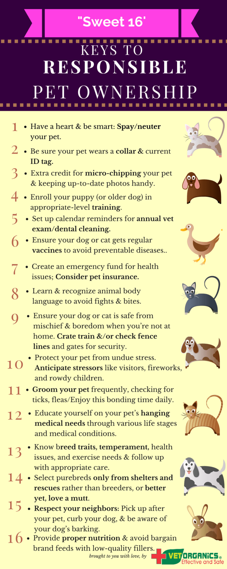 Responsible Pet Owner Infographic