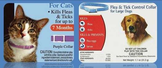 There's a good reason flea collars come with warnings front and center.