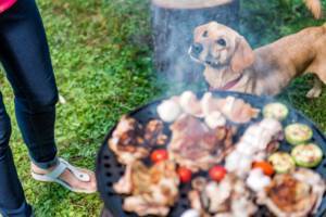 table scraps okay for dogs