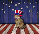 vet organics fourth of July pet safety