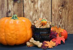 Pumpkins and Dog Nutrition