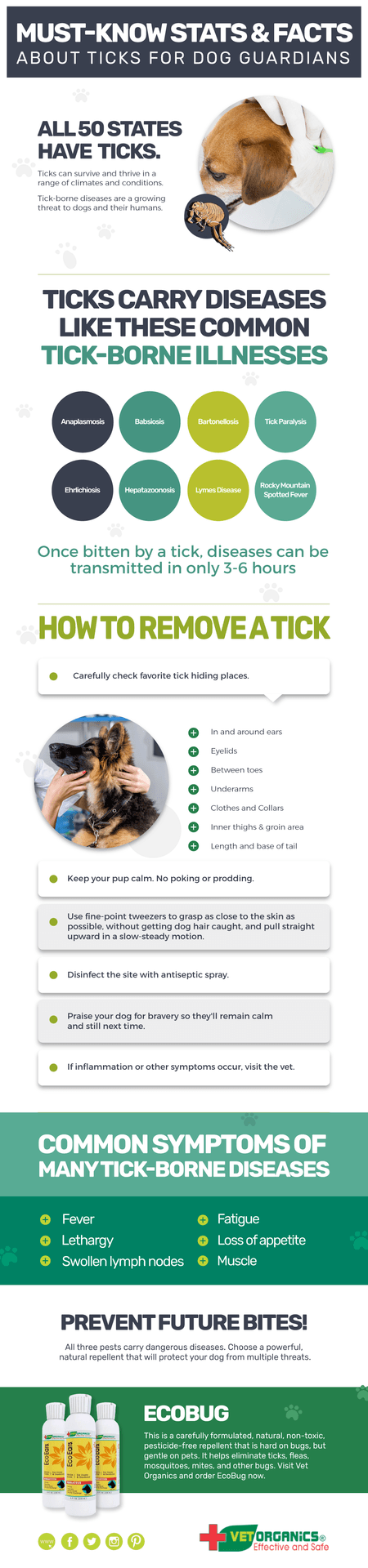 Guide to Ticks & Pet Safety