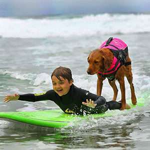 surfing-dog-service-disabled-people-surf-board-ricochet-thumb