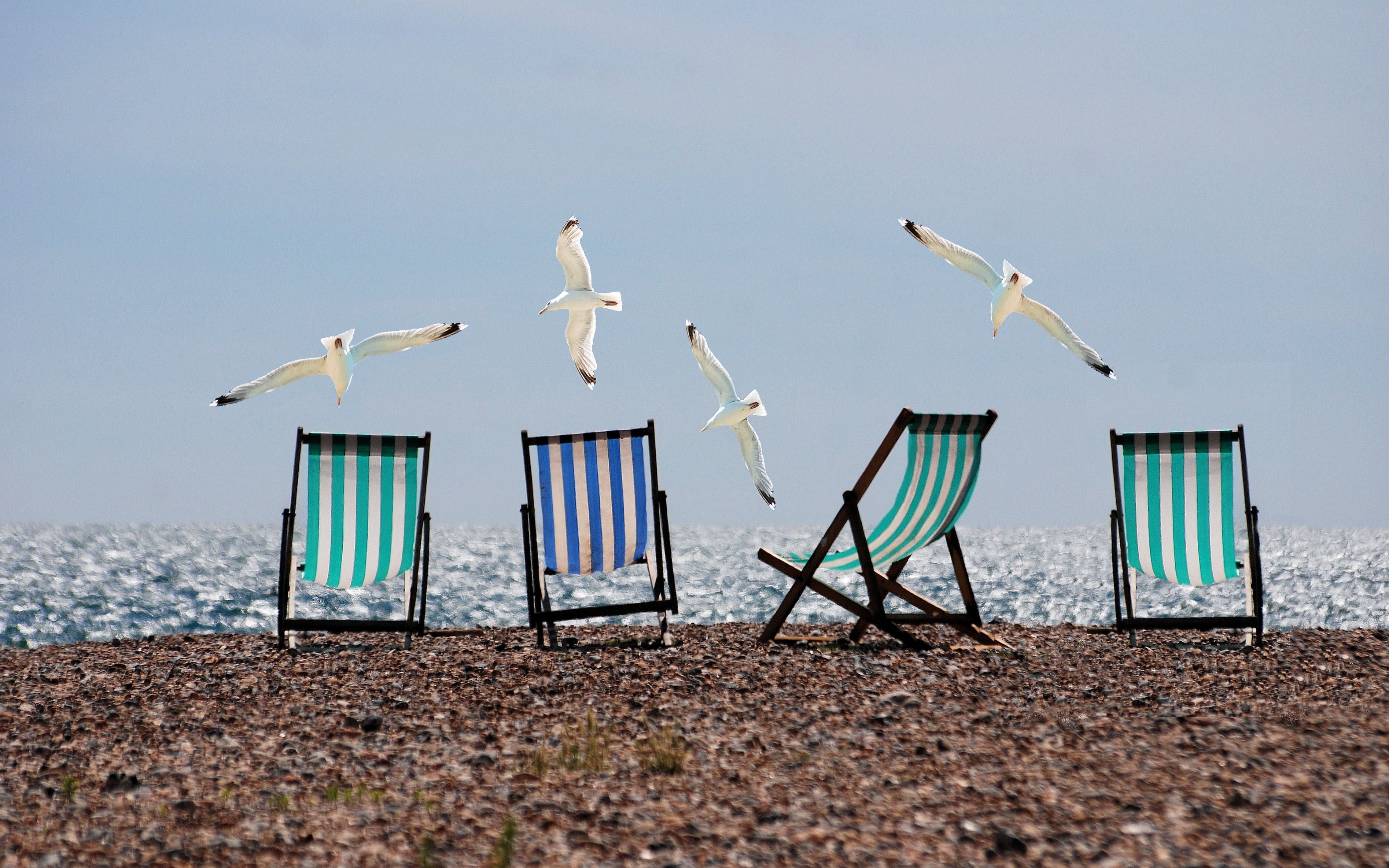 michigan, family vacation, seagulls, beach problems, northern michigan