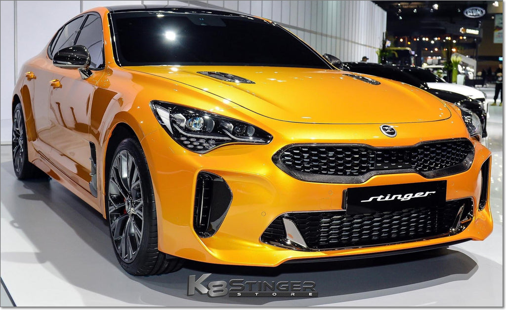 Kia Stinger 3.3T - Mishimoto Direct Fit Oil Catch Can – K8 Stinger Store