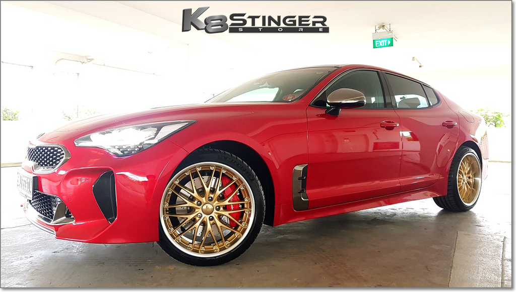 Kia Stinger 3.3T - Mishimoto Direct Fit Oil Catch Can – K8 Stinger Store