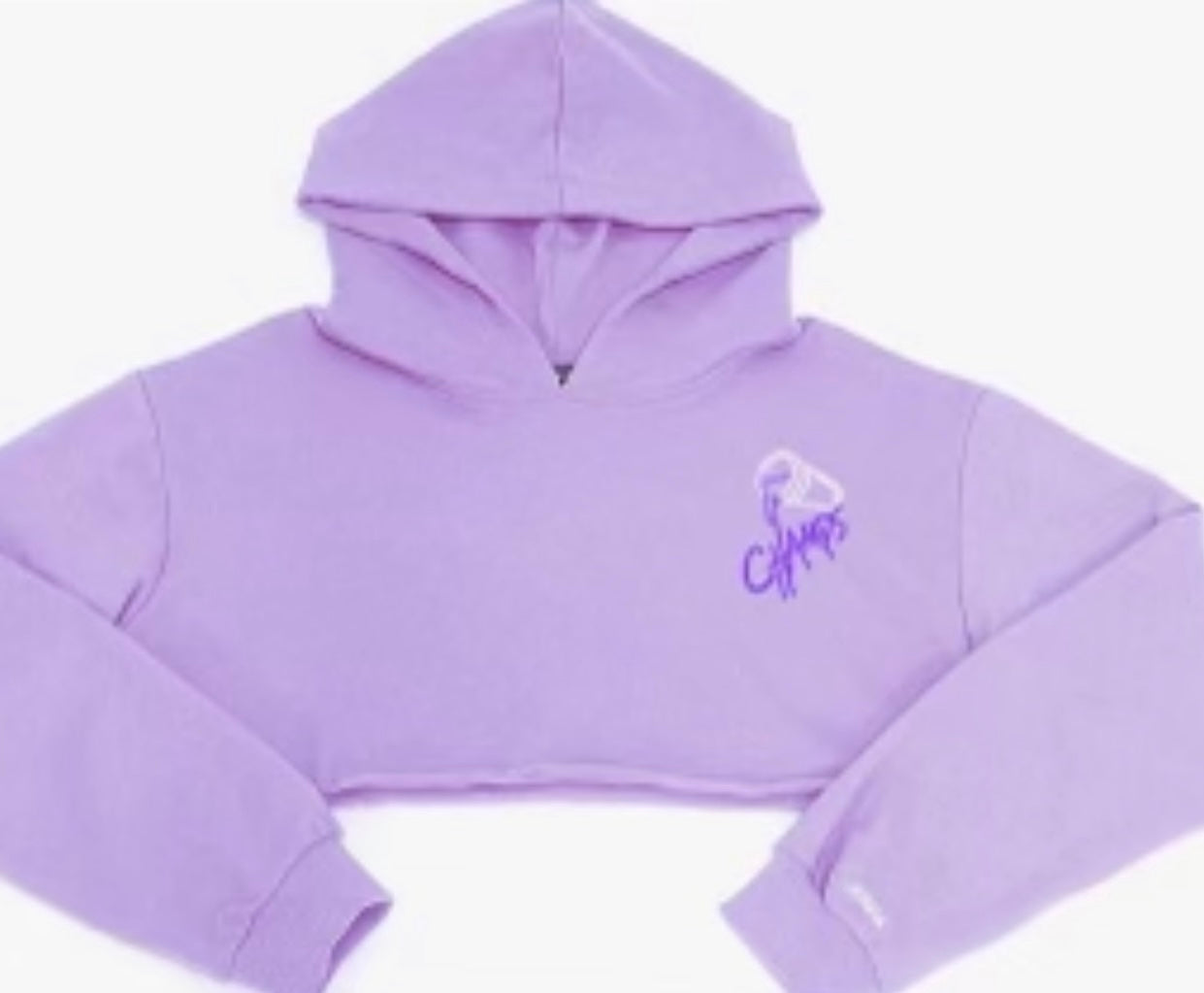 champs purple hoodie