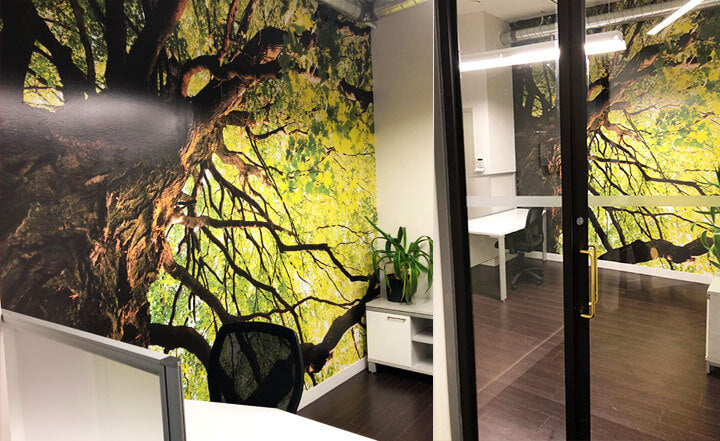 Custom Wallpaper & Murals in Toronto | Print & Installation – Printzi