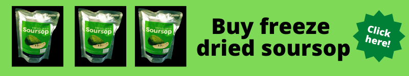 Buy freeze dried soursop