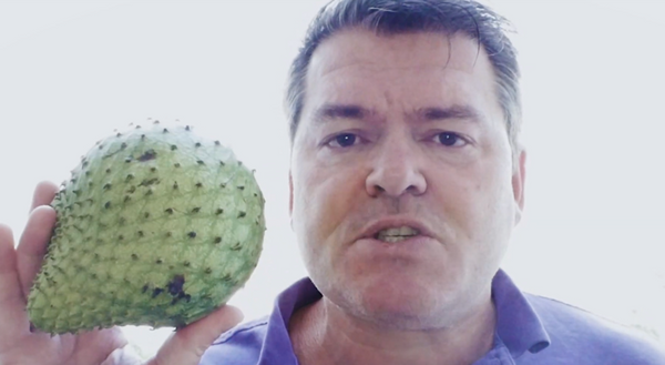 ripeness of fresh soursop fruit - video