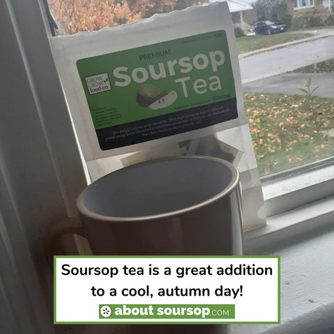 soursop tea recipes