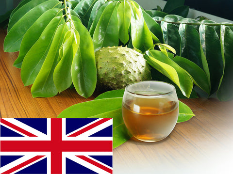 buy soursop tea and leaves in UK