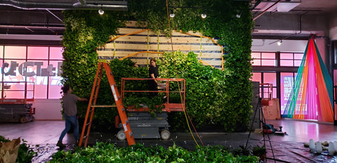 Live Wall Living Wall by Kelley Anderson of Art Botanica for We Rise LA