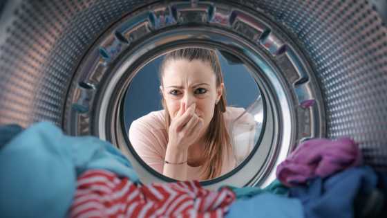 même en sortant de la machine a laver, vos draps peuvent avoir une odeur désagréable d'humidité, découvrez pourquoi !